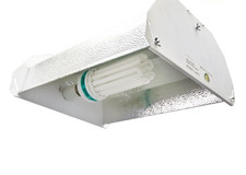 Bulb & Reflector Package - High Power Interlux CFL 6500k - 125/200 Watts picture
