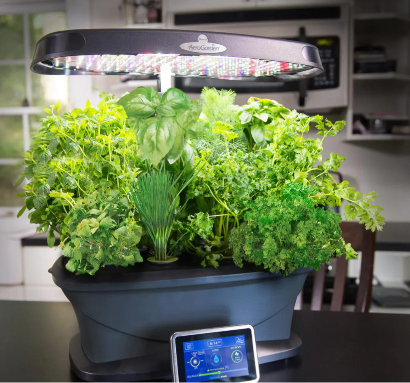 aerogarden 9-pod gourmet herb seed kit | germination gardening miracle plant gro