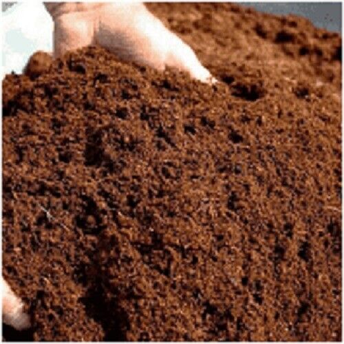 COCONUT COIR - Coco Peat ORGANIC GROWING MEDIA POTTING COMPOST  SOIL---10 Cups
