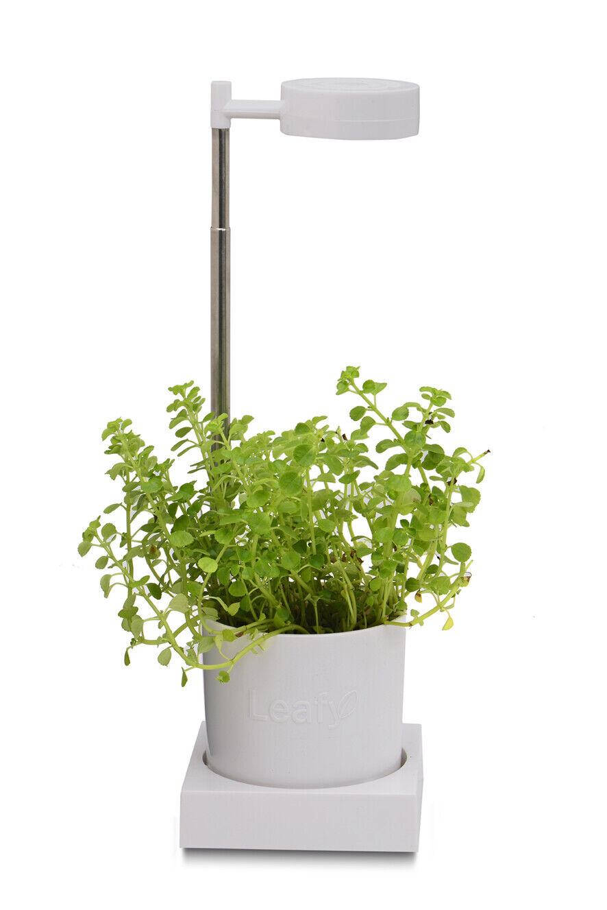 Indoor Office Desktop Hydroponics and Grow LED Light Light System Plant Flower