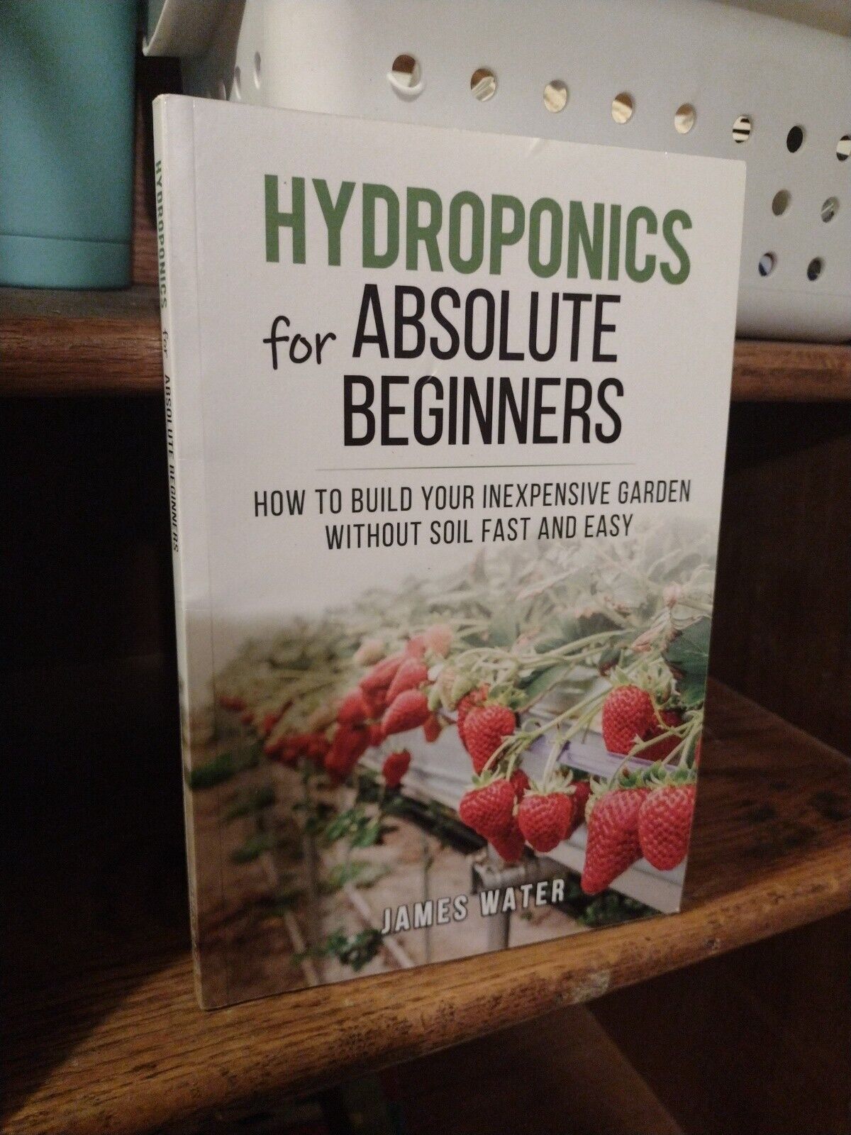 Hydroponics for Absolute Beginners: How Build your Inexpensive Garden without So