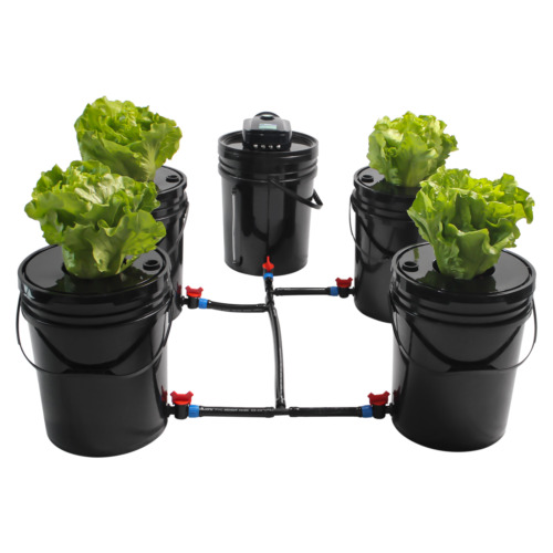 Grow1 Deep Water Culture (DWC) 4 Bucket with Reservoir Complete Hydroponic Kit 