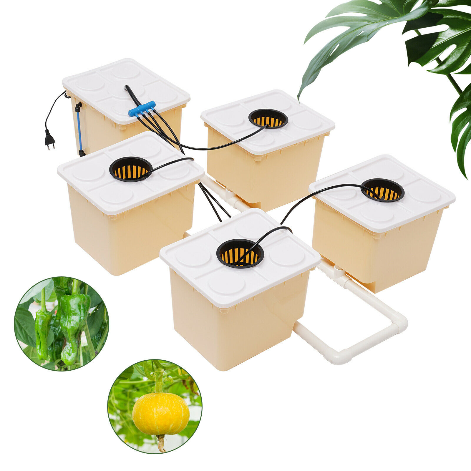  Deep Water Culture Hydroponic System Grow Kit W/Submerged Pump US STOCK