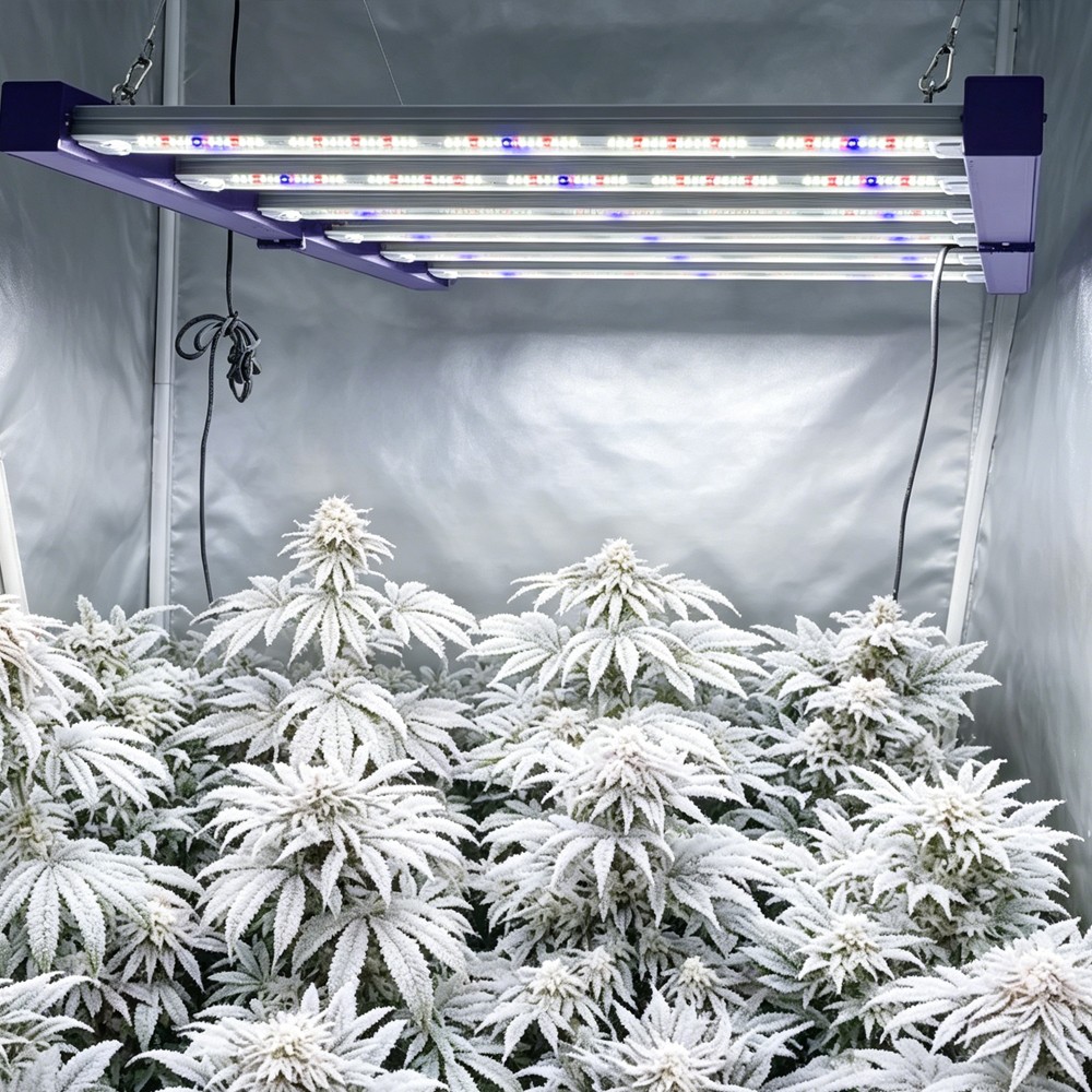 Spider 4000W Most Efficient LED Grow Light Full Spectrum 2.9umol/J for 4x4 Tent
