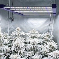 Spider 4000W Most Efficient LED Grow Light Full Spectrum 2.9umol/J for 4x4 Tent picture