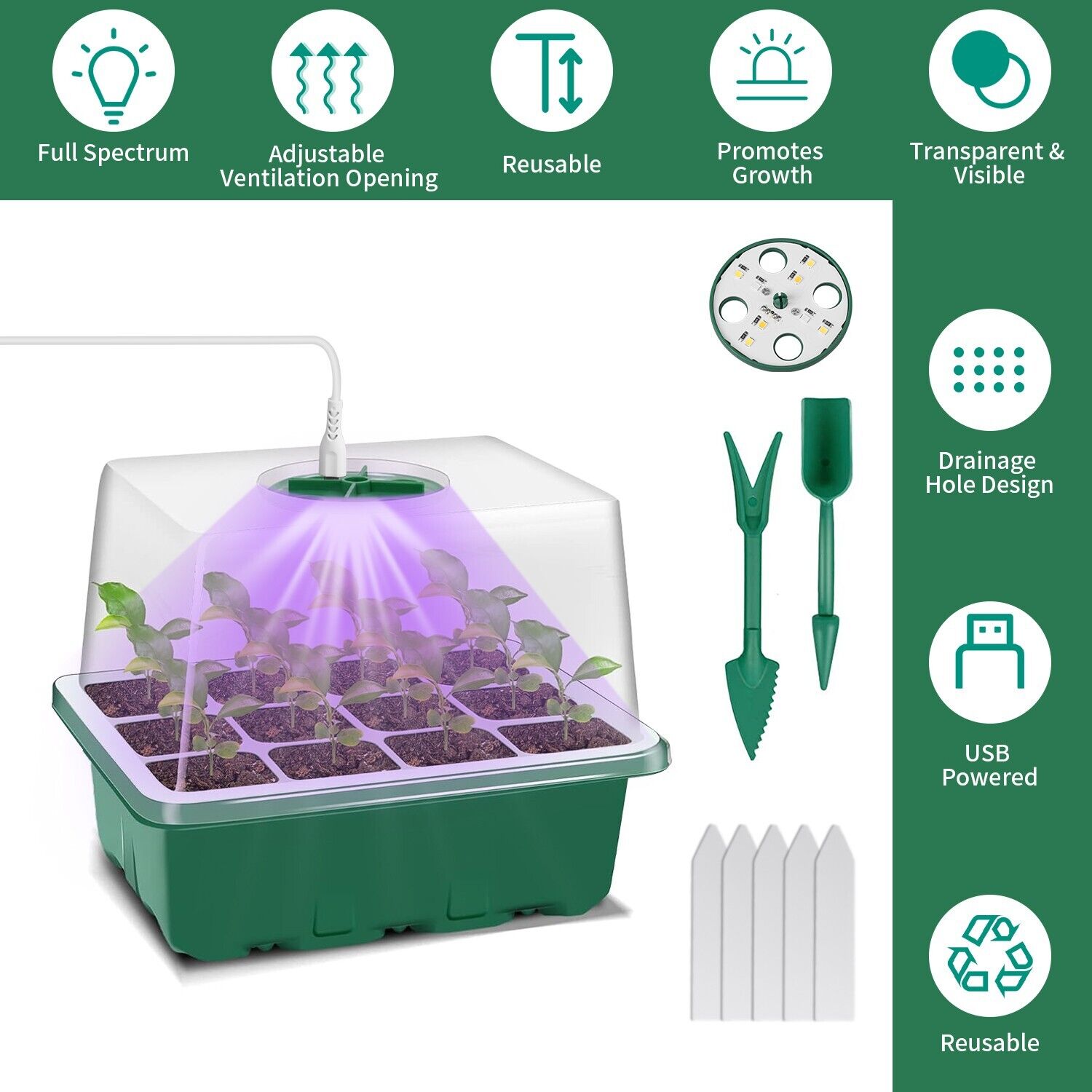 Seed Starter Trays with LED Grow Light Seed Starter Kit Seed Growing Starting