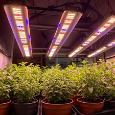 4000W Spider Commercial Greenhouse LED Grow Light High Yield Indoor Growing Lamp picture