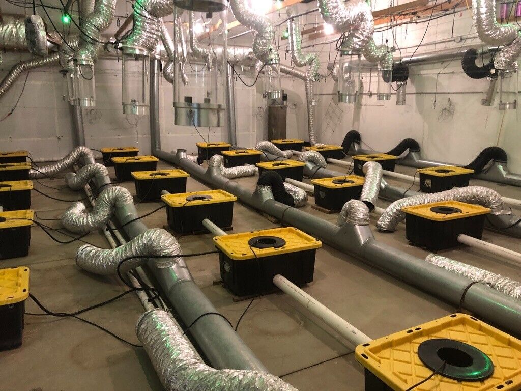 under current hydroponics system deep water culture 