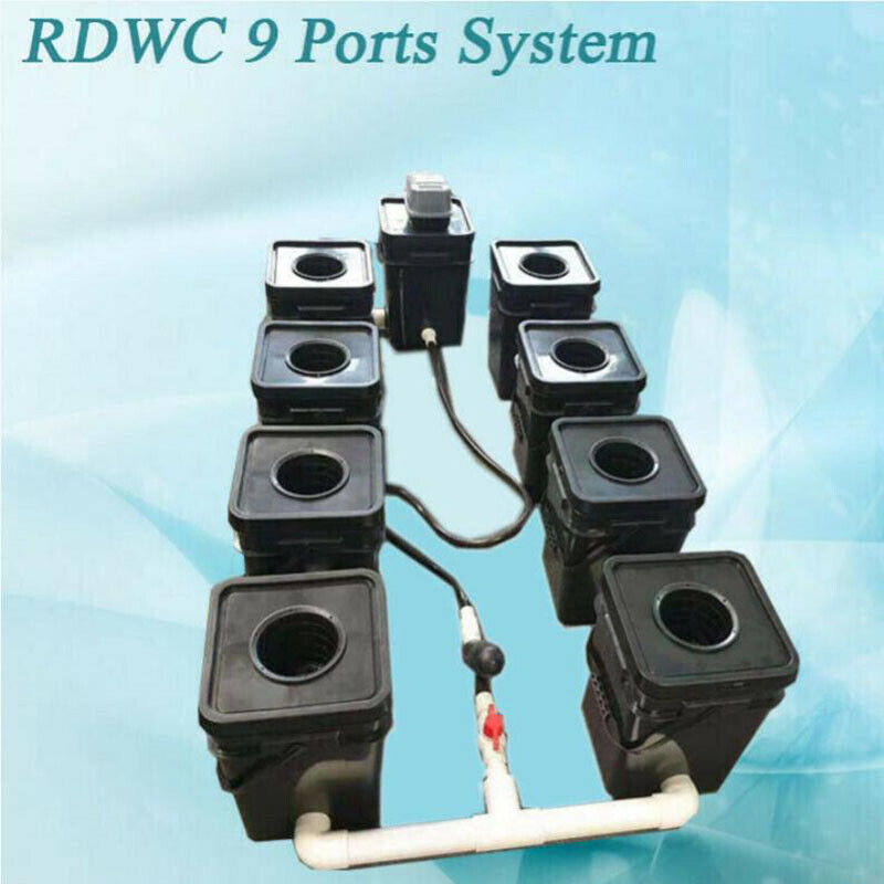 RDWC 9 Buckets Cloner Growing Kit Hydroponic Systems PVC Recirculation System