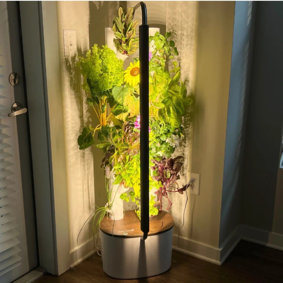 NIB Gardyn Studio 1 Hydroponics Sustainable Grow System Complete Kit 16 Plants