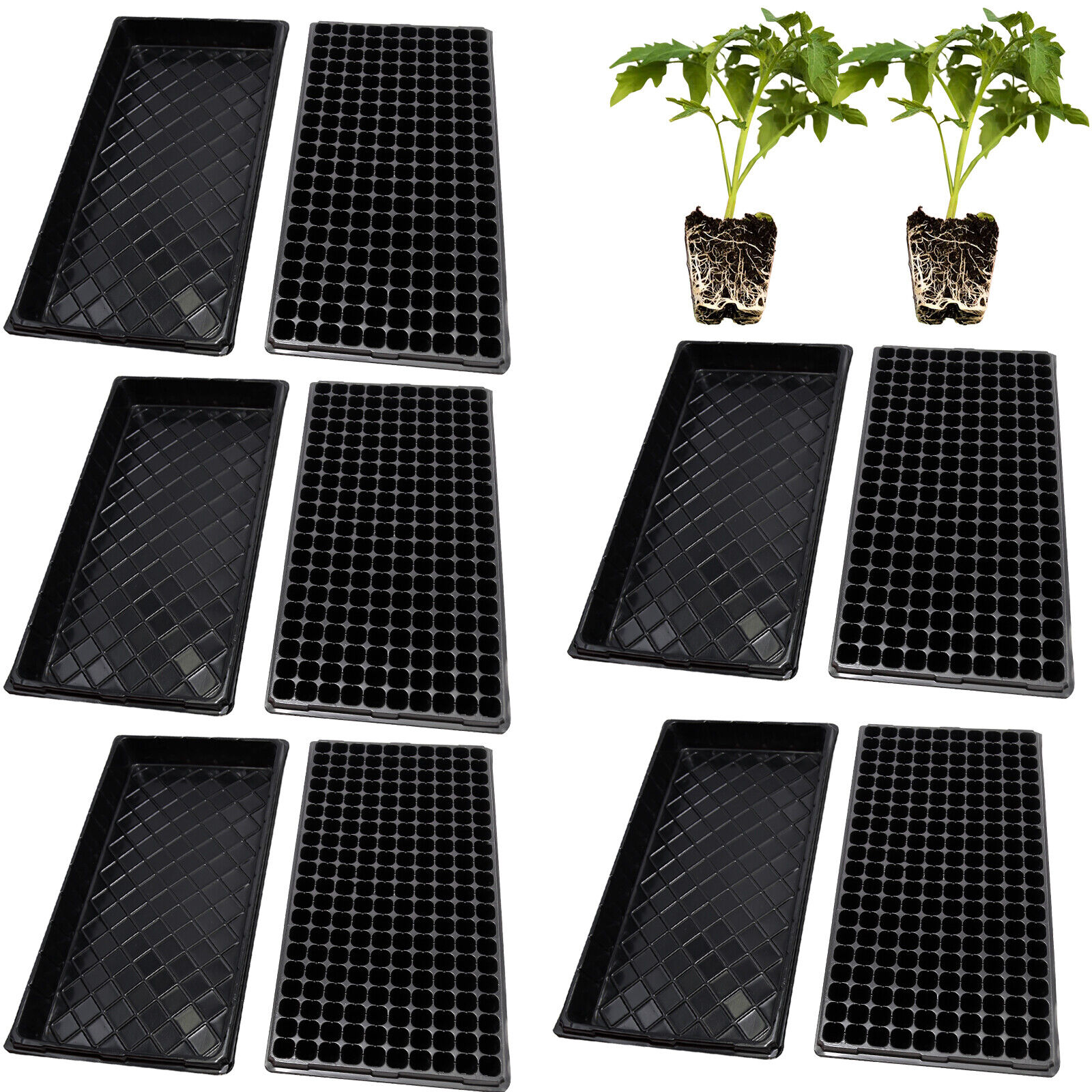 5x Seed Starting Trays+5x 200-Cell Plug Trays Sets For Cloning Propagation Flats