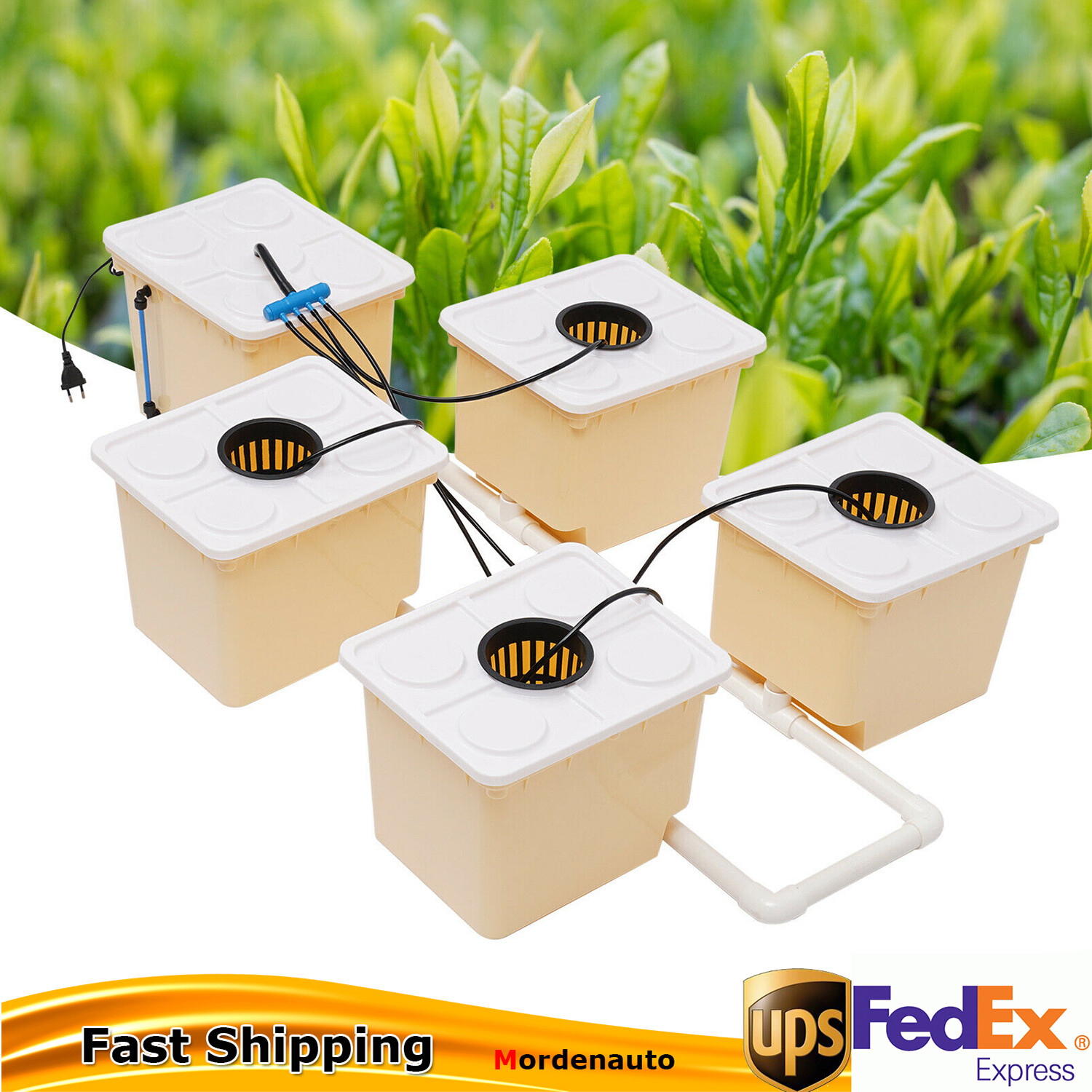 Hydroponics Deep Water Culture DWC Hydroponic System buckets Drip Growing System