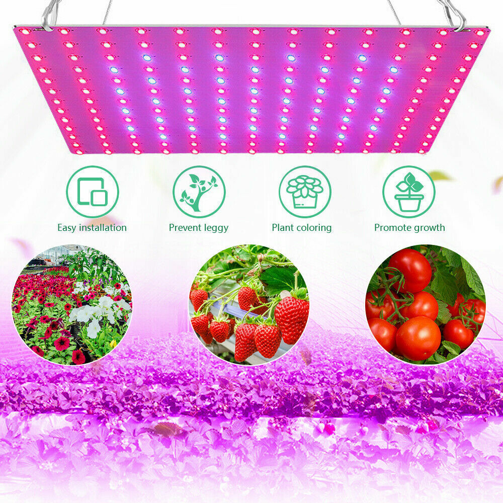 169 Spectrum Plant LEDs UV Grow Light Indoor Hydroponic Plant Veg Growth