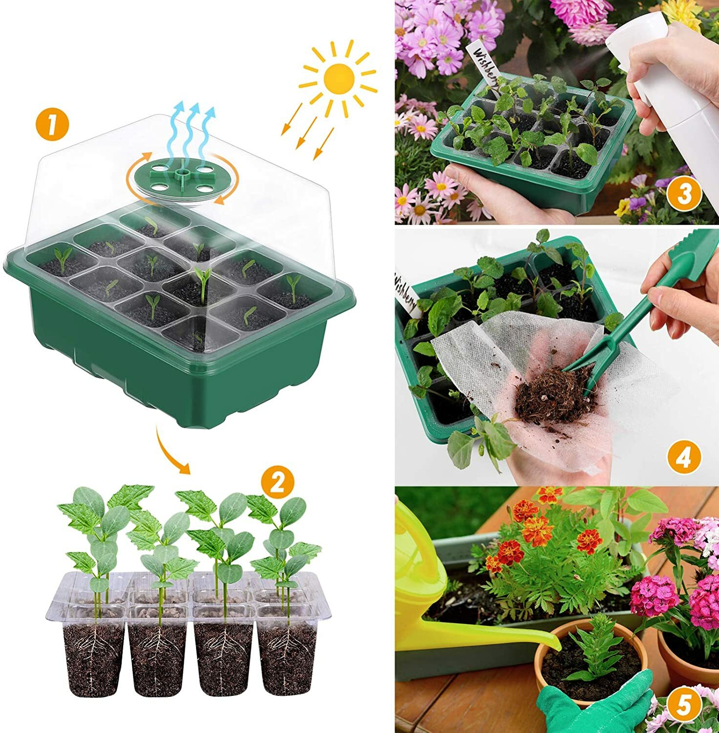 12 Cells Seed Started Tray- 2 Pcs Humidity Adjustable Seed Starter Kit