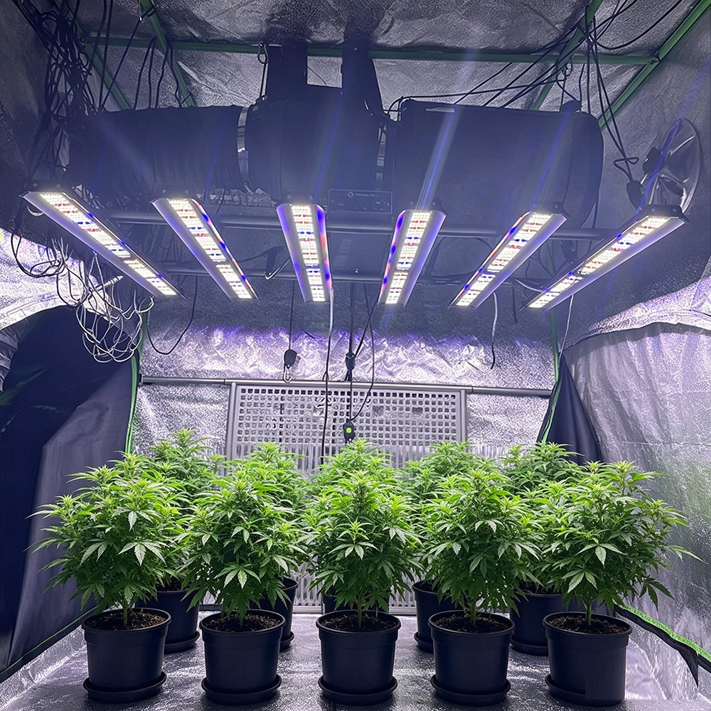 BA5000W LED Plant Grow Lights Full Spectrum Dimmable Commercial Hydroponics Lamp