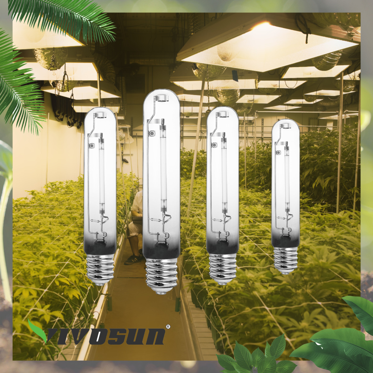 VIVOSUN 4-Pack 250 Watt High Pressure Sodium HPS Grow Light Bulb Lamp
